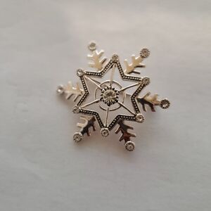Vintage Elegant Silver Snowflake Brooch